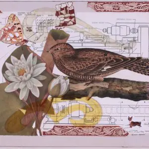 Vintage bird collage with butterfly and diagrams