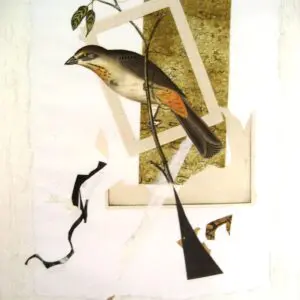 Collage of a bird with abstract elements.