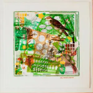 Colorful collage with birds and nature elements.