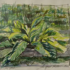 Painting of lush green plant leaves.