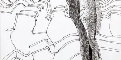 Abstract line drawing with curved patterns.