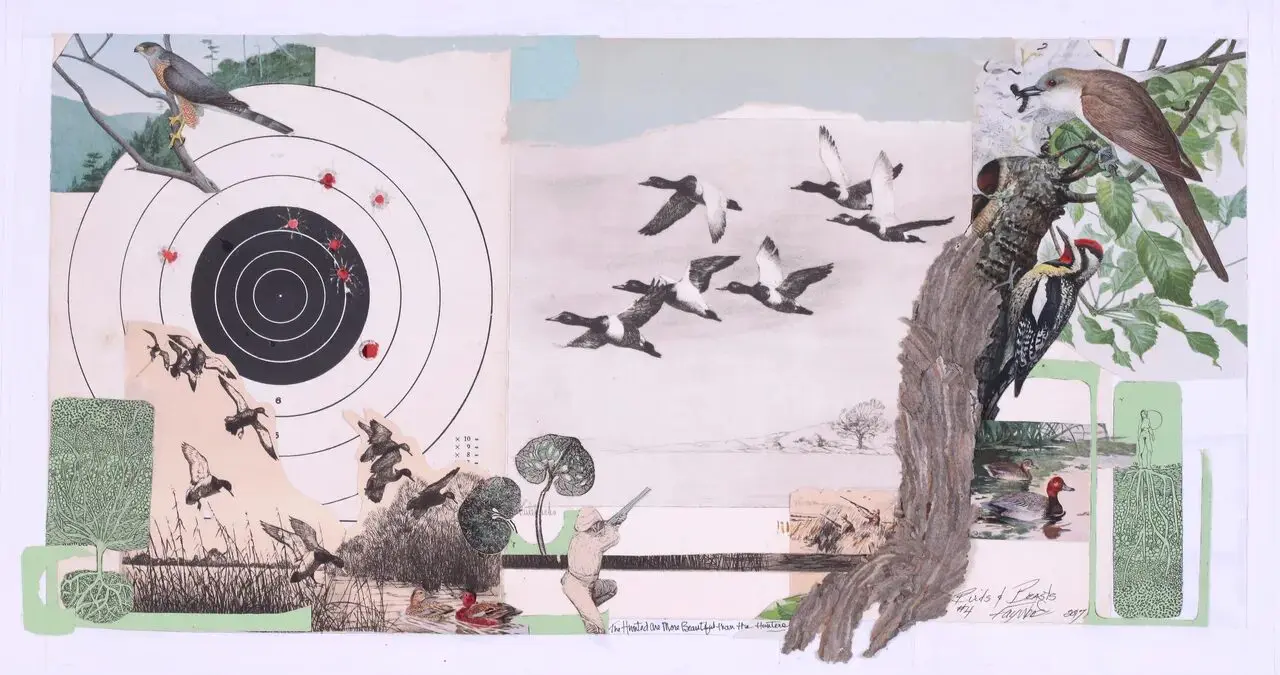 Mixed media collage of birds and nature.