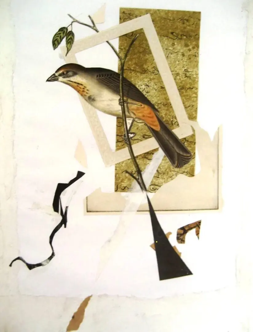 Collage of bird on abstract background.