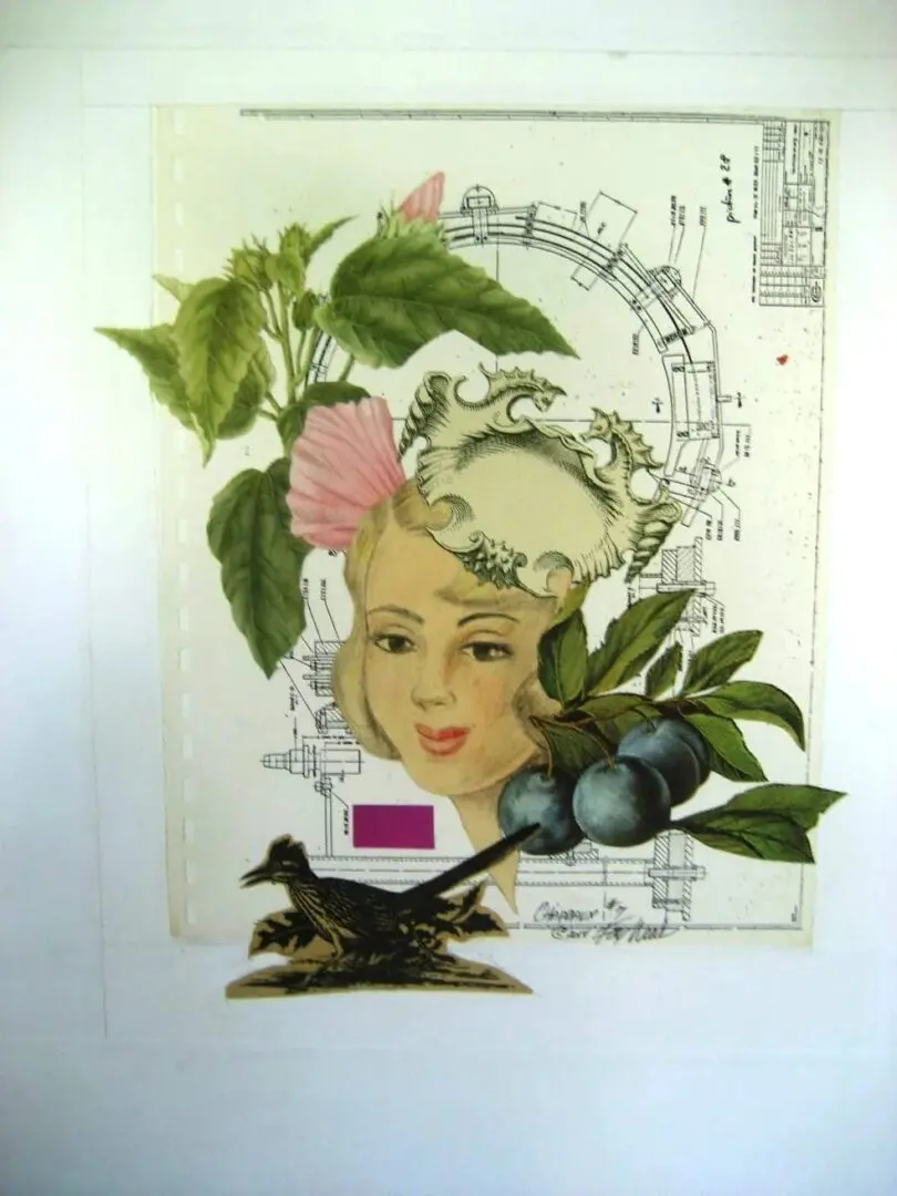 Vintage collage with woman's face and plants.